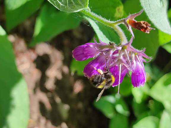 Alternative text should describe the visual content of the image.