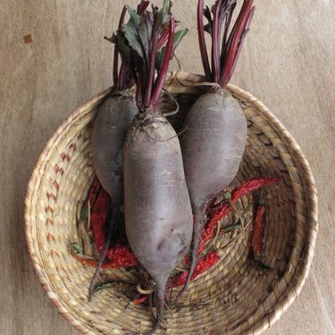 Long purple beetroot