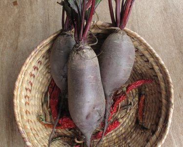Long purple beetroot