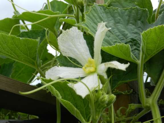 Alternative text should describe the visual content of the image.