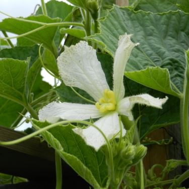 Alternative text should describe the visual content of the image.