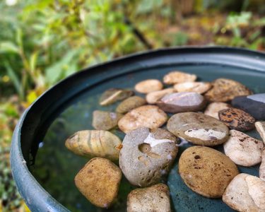 Alternative text should describe the visual content of the image.