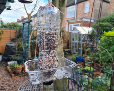 Alternative text should describe the visual content of the image.