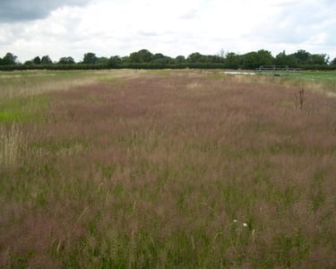 Alternative text should describe the visual content of the image.