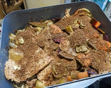 Alternative text should describe the visual content of the image.