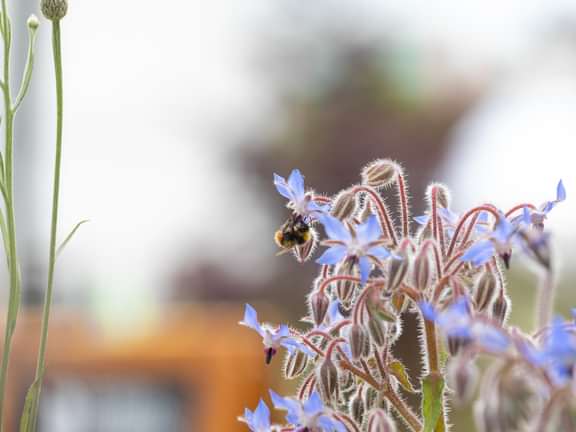 Alternative text should describe the visual content of the image.