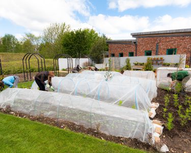 Alternative text should describe the visual content of the image.