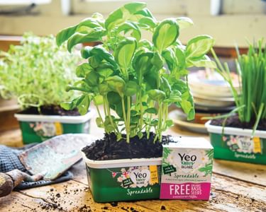 Alternative text should describe the visual content of the image.