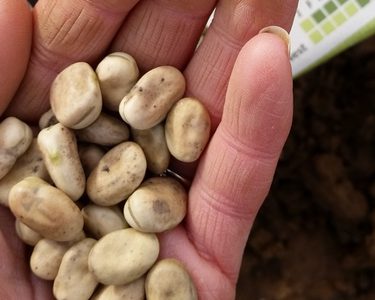 Alternative text should describe the visual content of the image.