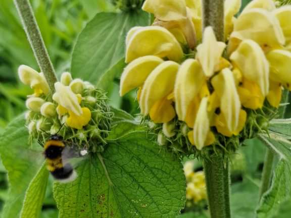 Alternative text should describe the visual content of the image.