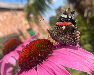 Alternative text should describe the visual content of the image.