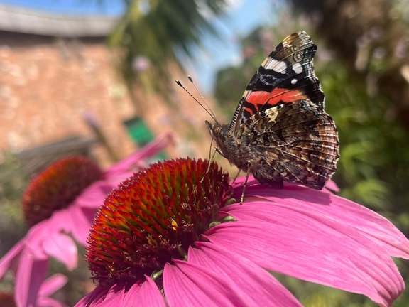 Alternative text should describe the visual content of the image.