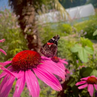 Alternative text should describe the visual content of the image.