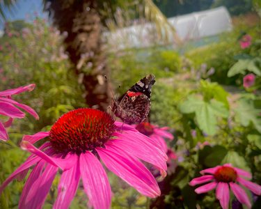 Alternative text should describe the visual content of the image.