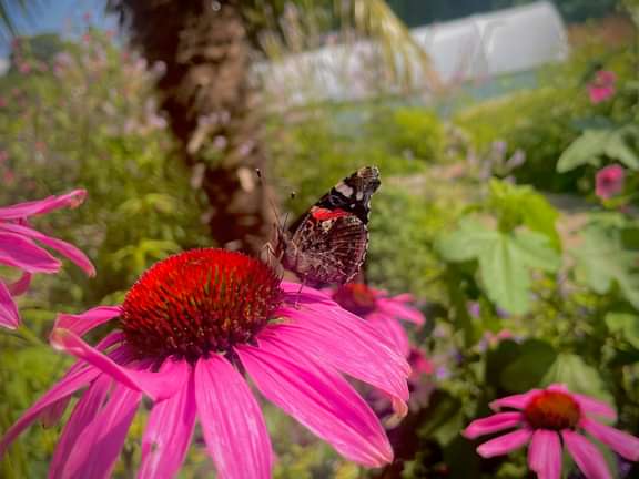 Alternative text should describe the visual content of the image.