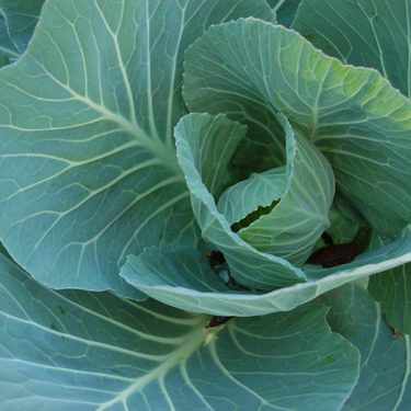 Alternative text should describe the visual content of the image.