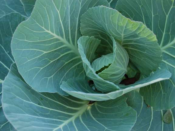 Alternative text should describe the visual content of the image.