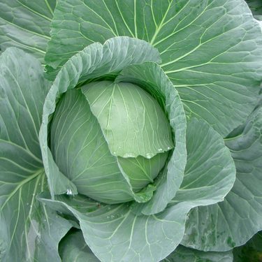 Alternative text should describe the visual content of the image.