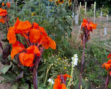 Alternative text should describe the visual content of the image.