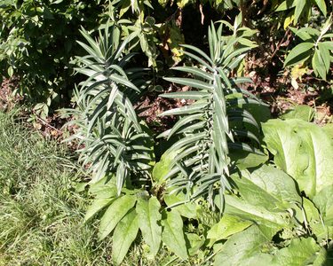 Alternative text should describe the visual content of the image.