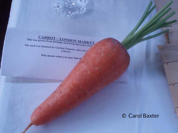 Orange carrot on sheet of paper