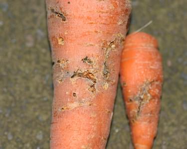 Alternative text should describe the visual content of the image.