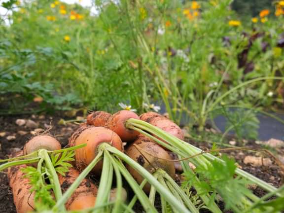 Alternative text should describe the visual content of the image.