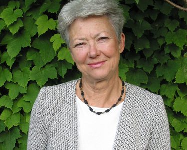 Alternative text should describe the visual content of the image.