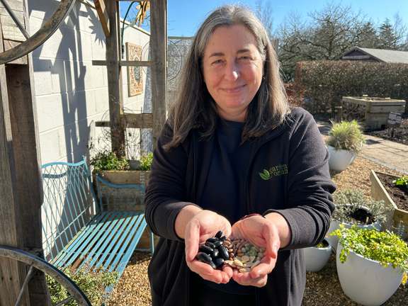 Alternative text should describe the visual content of the image.