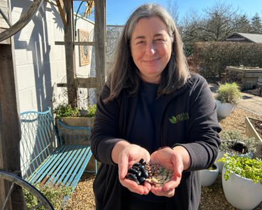 Alternative text should describe the visual content of the image.