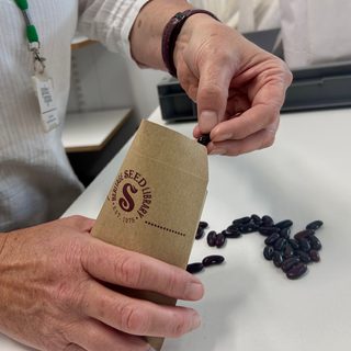 A shot of hands putting beans in to a brown seed packet stamped with the heritage seed library logo