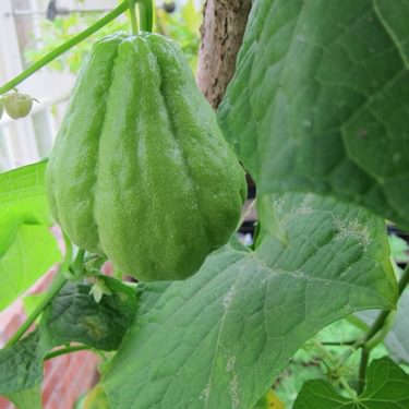 Alternative text should describe the visual content of the image.