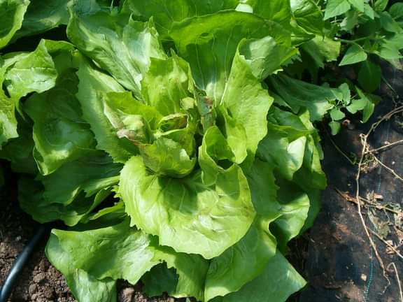 Alternative text should describe the visual content of the image.