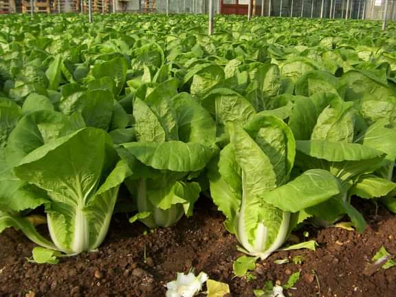 Alternative text should describe the visual content of the image.