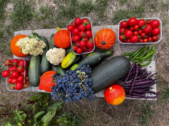 Alternative text should describe the visual content of the image.