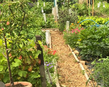 Alternative text should describe the visual content of the image.