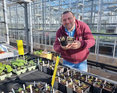 Alternative text should describe the visual content of the image.