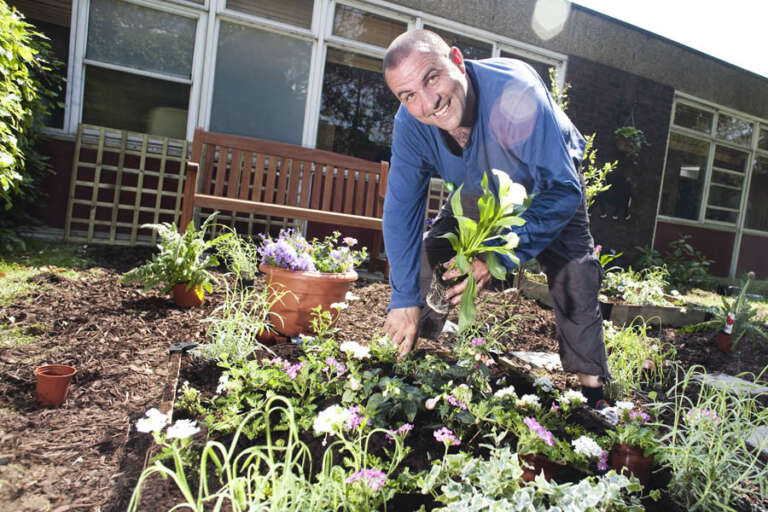 Alternative text should describe the visual content of the image.