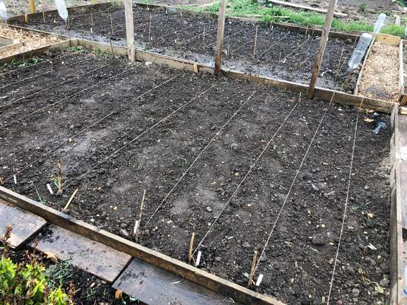 Alternative text should describe the visual content of the image.