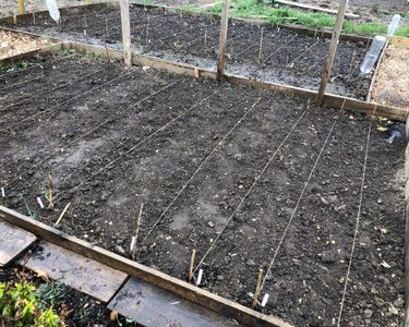 Alternative text should describe the visual content of the image.