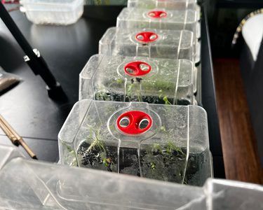 Alternative text should describe the visual content of the image.