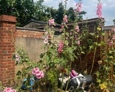 Alternative text should describe the visual content of the image.