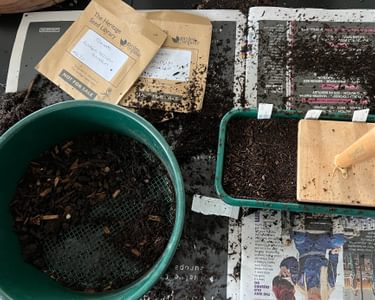 Alternative text should describe the visual content of the image.