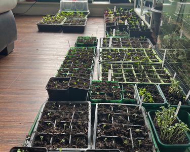 Alternative text should describe the visual content of the image.