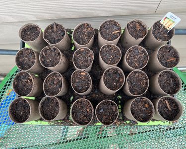 Alternative text should describe the visual content of the image.