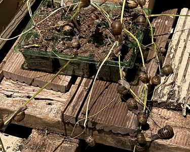 Alternative text should describe the visual content of the image.