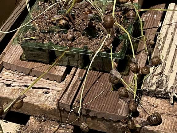 Alternative text should describe the visual content of the image.