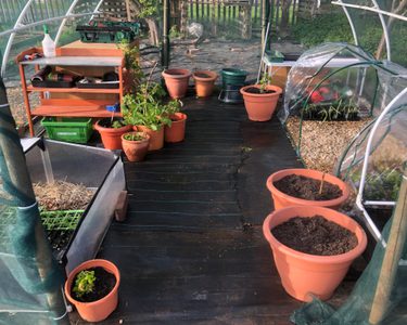 Alternative text should describe the visual content of the image.