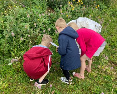 Alternative text should describe the visual content of the image.