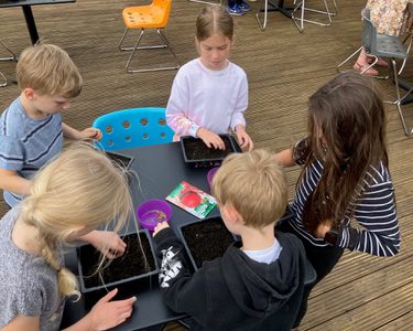 Alternative text should describe the visual content of the image.